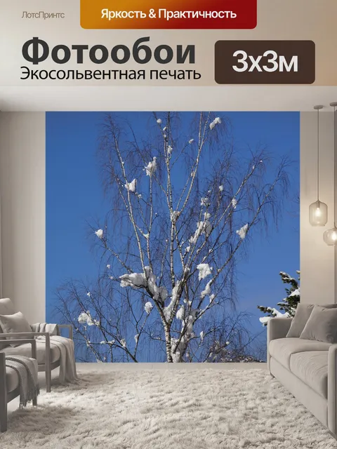 Фотообои Береза