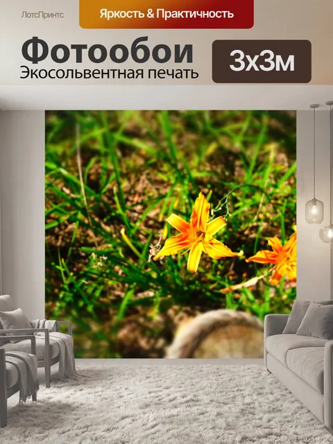 Фотообои Цветы