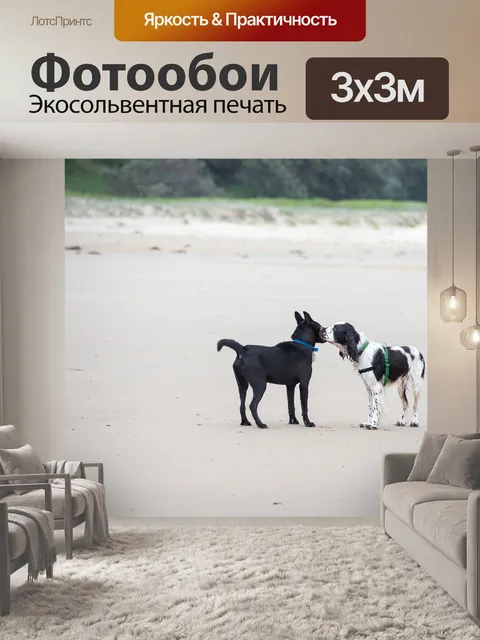 Фотообои Собаки