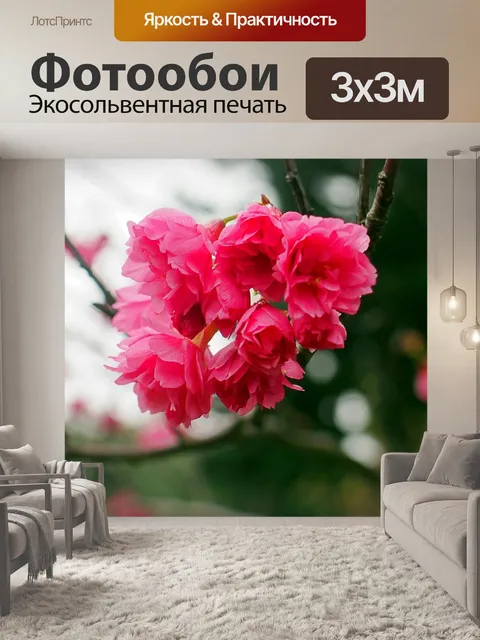 Фотообои Сакура