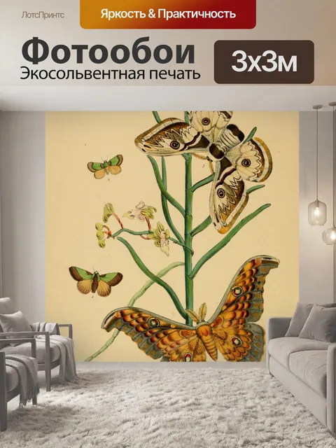 Фотообои Бабочки Винтажное Искусство