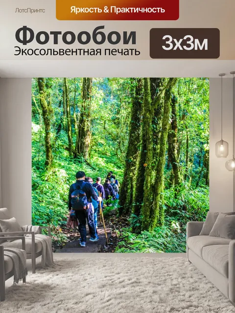 Фотообои Тропический лес в Дои Интанон, Чиангмай