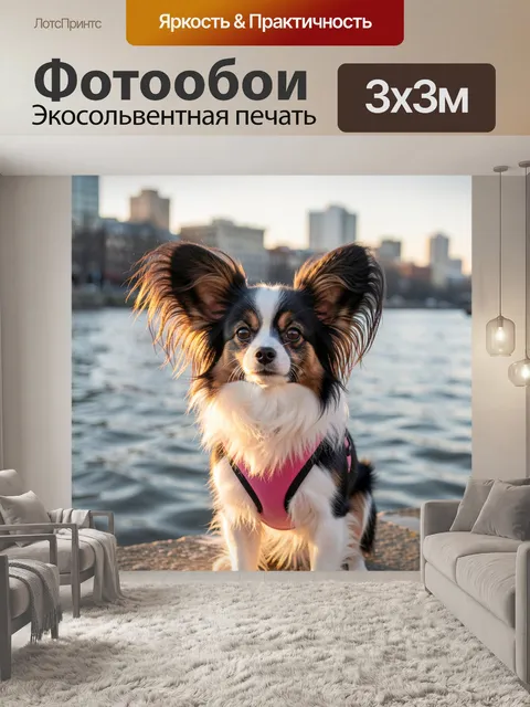 Фотообои Декоративная собака на закате