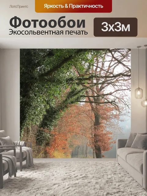 Фотообои Туман