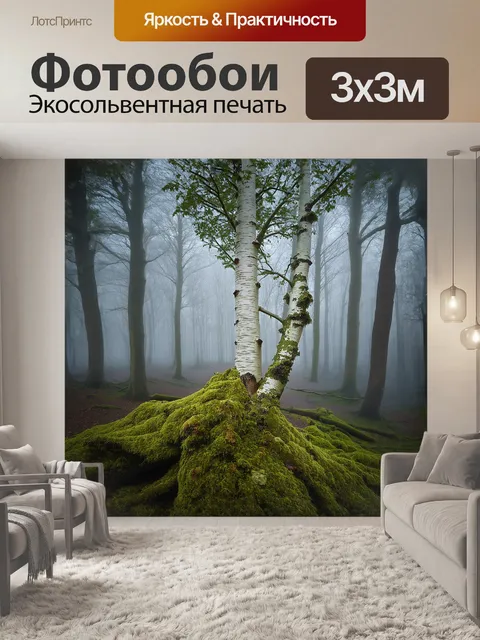Фотообои береза в тумане, ствол покрытый мхом и лишайником