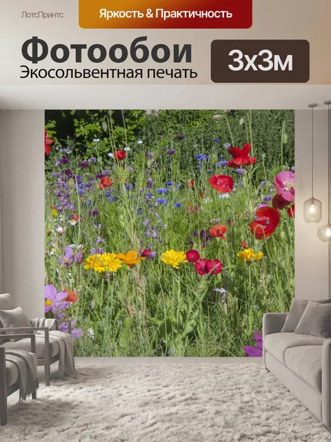 Фотообои Красивые полевые цветы