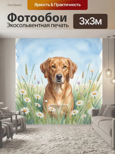 Фотообои Лабрадор в поле ромашек