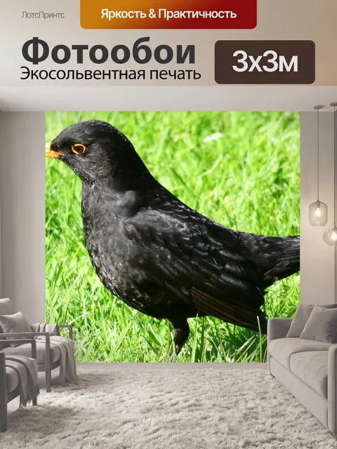 Фотообои Птицы