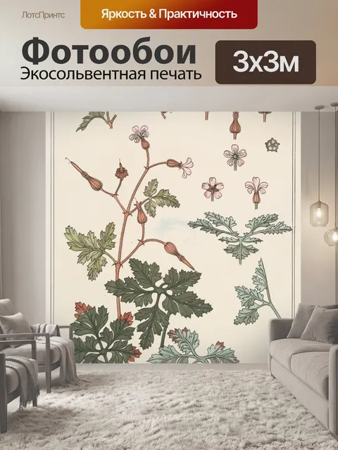 Фотообои Цветы герани Модерн