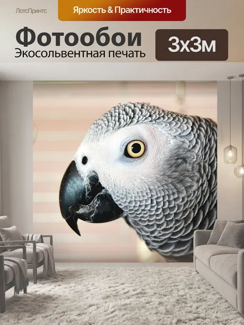 Фотообои Попугай