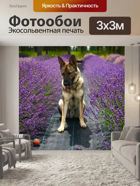 Фотообои Лаванда