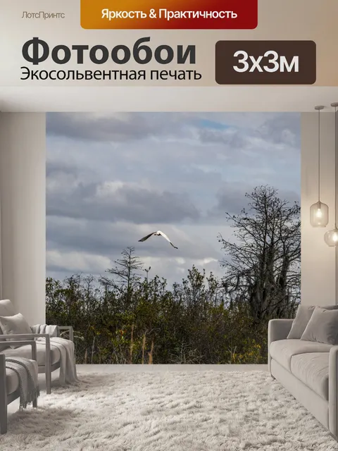 Фотообои Птица в полете