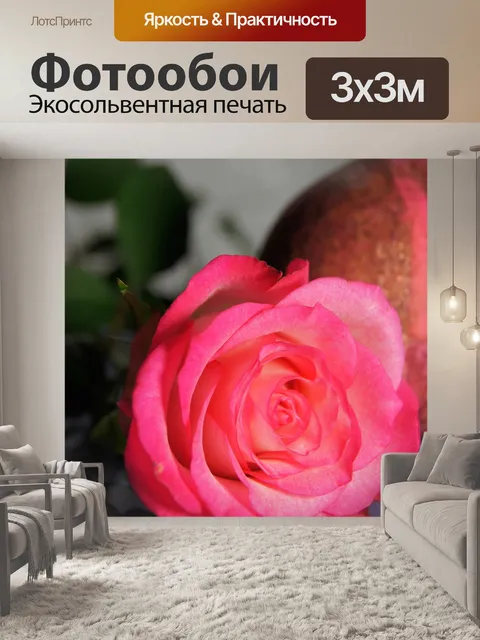 Фотообои Карта