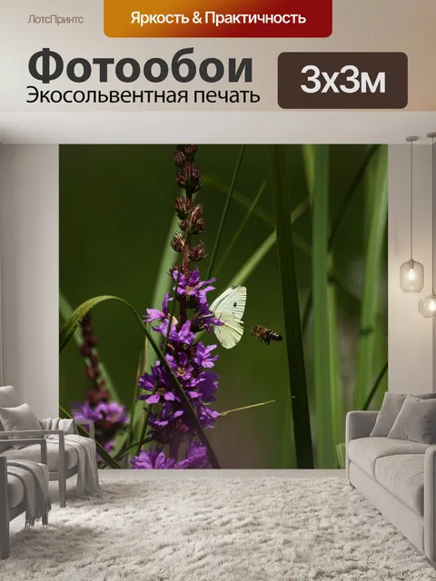 Фотообои Цветок