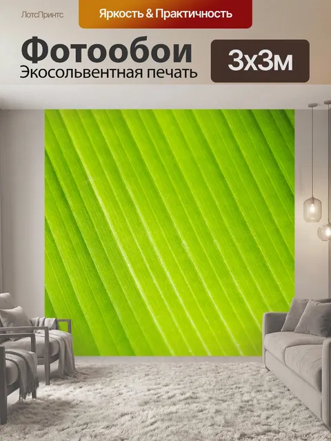Фотообои Зеленый лист пальмы