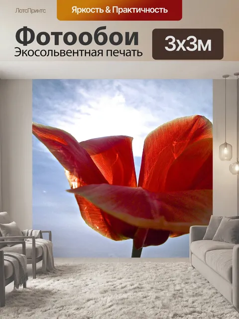 Фотообои Тюльпан