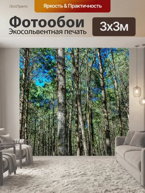 Фотообои Сосновый лес, Пан Унг, Мэй Хонг Сон