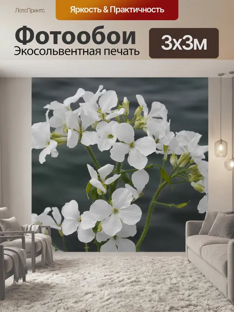 Фотообои Цветы