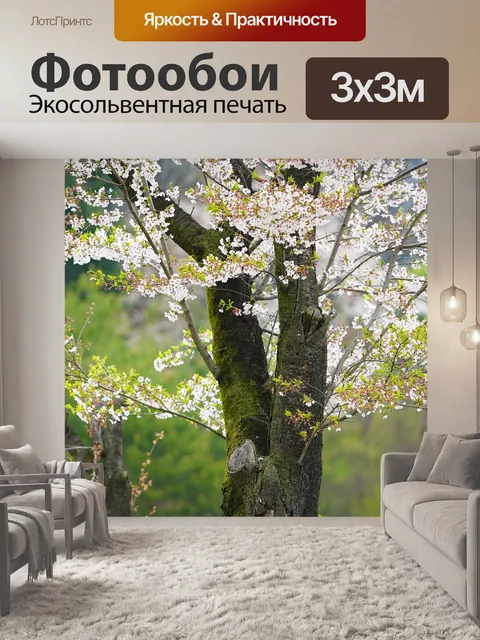 Фотообои Вишня