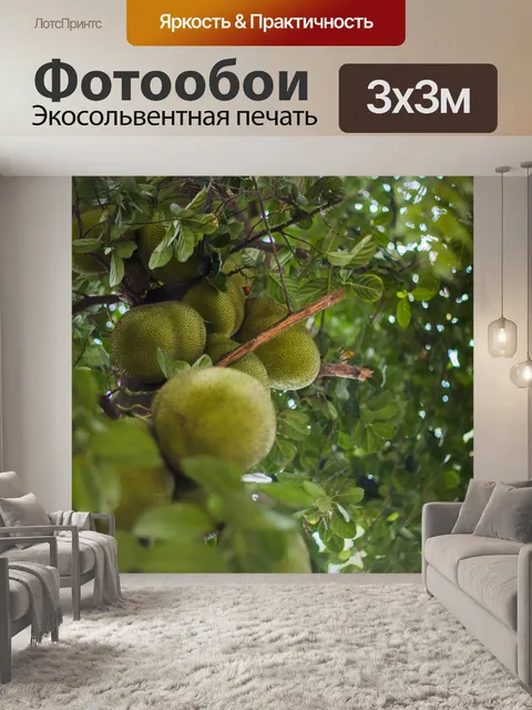 Фотообои Джекфрут