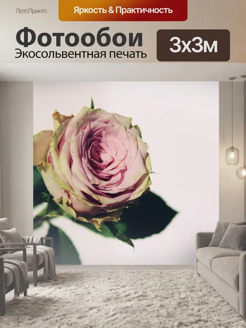 Фотообои Розы