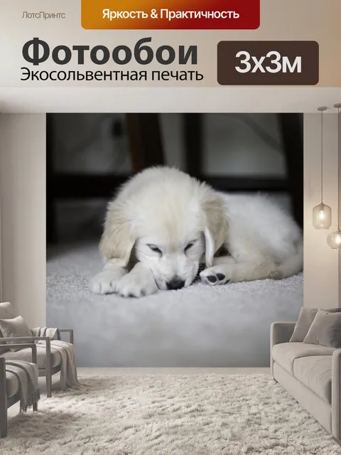 Фотообои Щенок