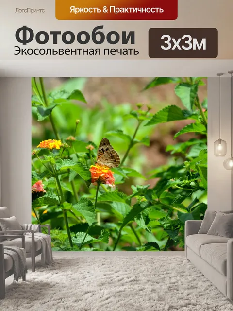 Фотообои Бакай Бабочка