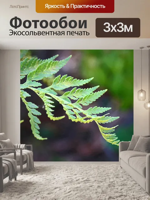 Фотообои кончик зеленого листа папоротника летом