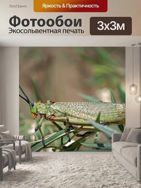 Фотообои зеленый кузнечик на листве