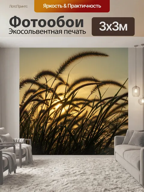 Фотообои Камыши