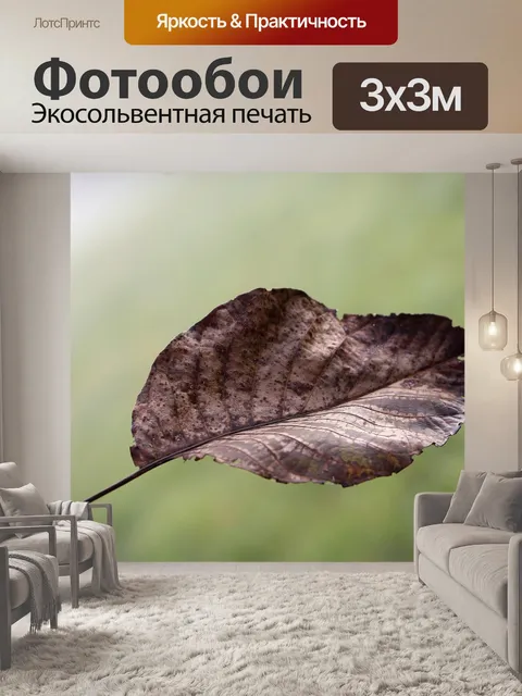 Фотообои Лист