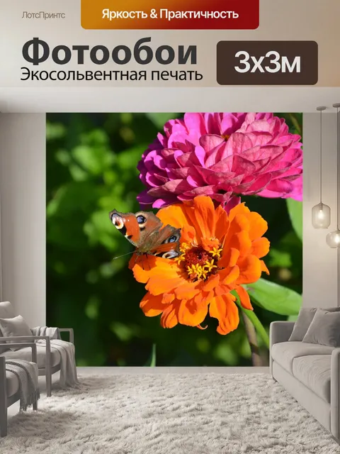 Фотообои Цветы