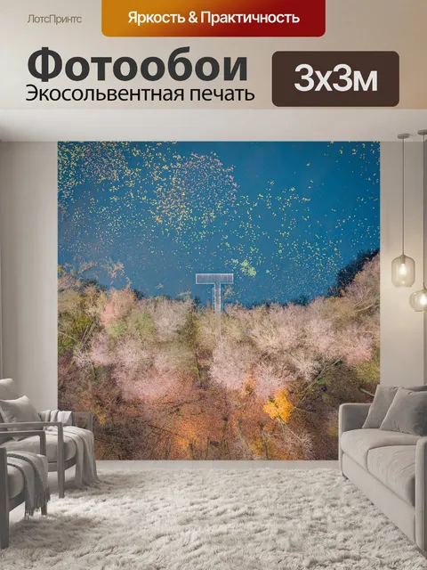 Фотообои Лес