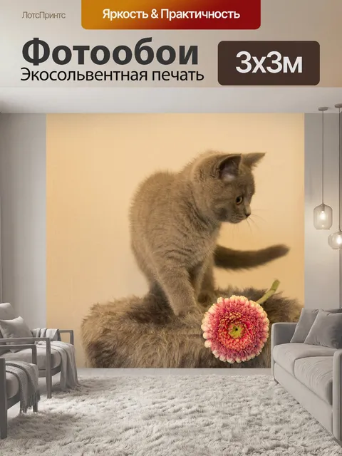 Фотообои Кошка