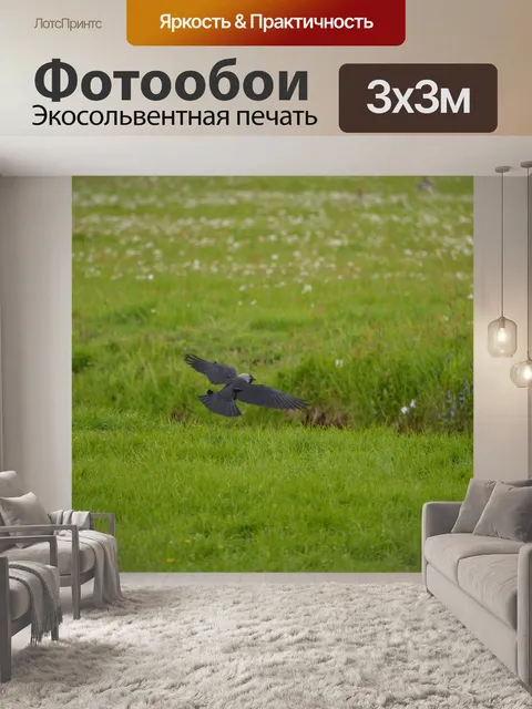 Фотообои Птица