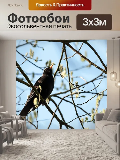 Фотообои Птица