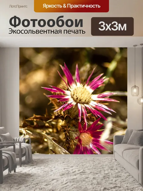 Фотообои Цветы
