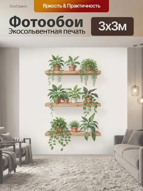 Фотообои Комнатные растения на деревянных полках