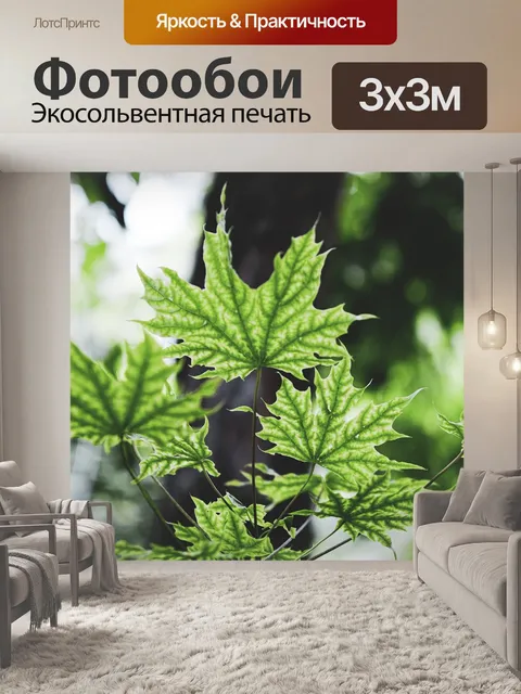 Фотообои Листья