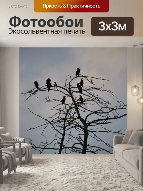 Фотообои Птицы