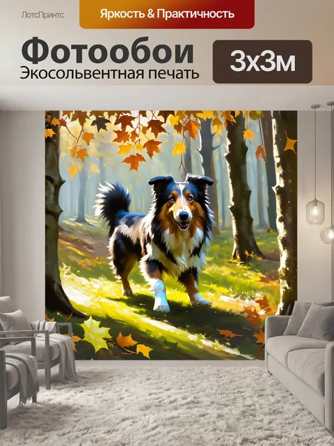 Фотообои изображение колли, играющего с листьями в лесу, где деревья густые и ветви свисают низко