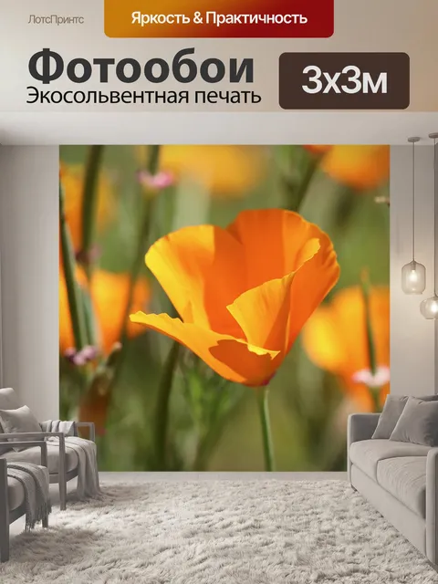 Фотообои Золотой мак