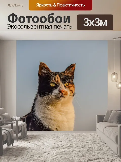 Фотообои Кошка