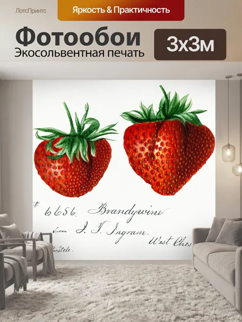 Фотообои Фруктовое винтажное искусство