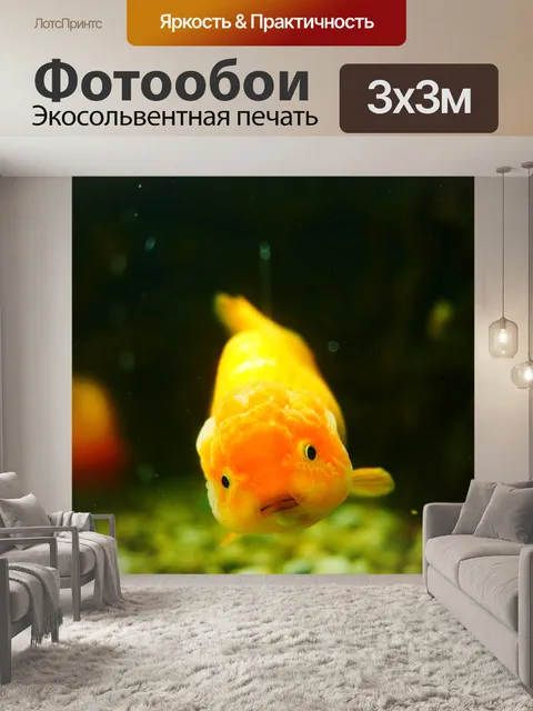 Фотообои Золотая рыбка
