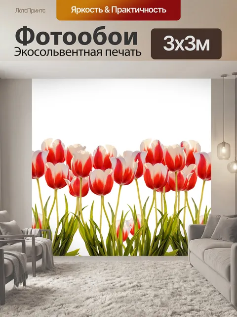 Фотообои Тюльпаны