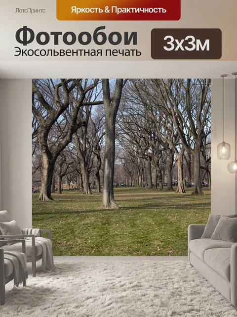 Фотообои Центральный парк, Нью-Йорк