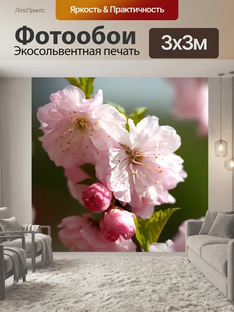 Фотообои Розовый цвет