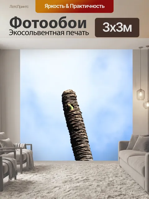 Фотообои Птица