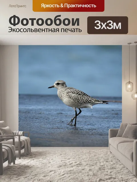 Фотообои Животное